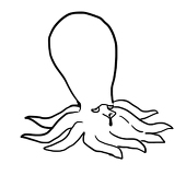 ひわこ