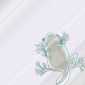 frogupa