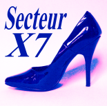 Secteur X7