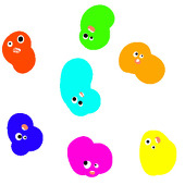 ノム