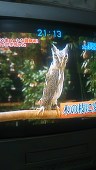 ヤマハ
