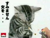 クレッセント