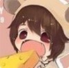 晓猫