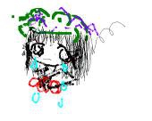 よしかわ　たいき