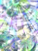 雀蜂　夜