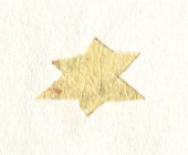 鸚