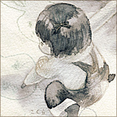 こくら