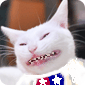 なな