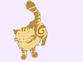 暁
