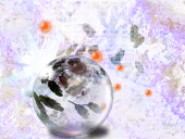 ume