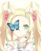 木木