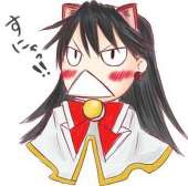 ベネチア猫
