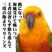 もり＠一人マイムマイム部