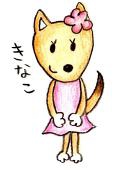 ぴろ