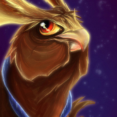 Noktowl