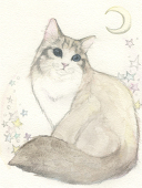 あや