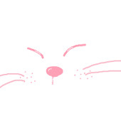 ひえたん