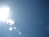 七