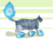 粕猫