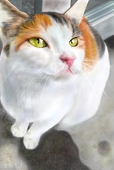 雷香