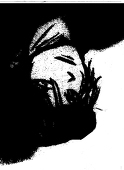 kagi