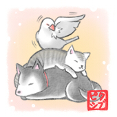 とうり