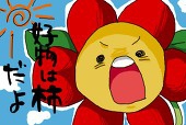 食虫花