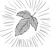 各田