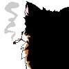 Zee