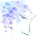 ponkichi11