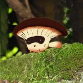 おもだか