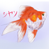 Sianchan