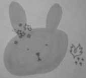 星うさぎ