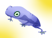 あめがえる