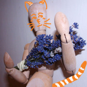 二毛猫