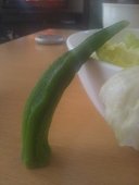 鶏