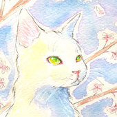 みゃにこ