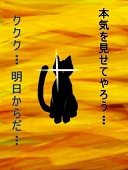 猫マスター