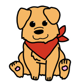 だけん。