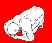 Ｇ太