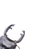 KATAKATA