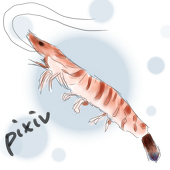 キチン質