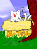 カラス