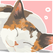 ひなたねこ@鈍行