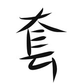 套子