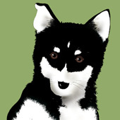 黒井すずめ