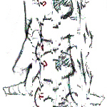 SIRORIS