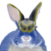 ユッカ