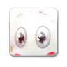 チャオズラウンジ