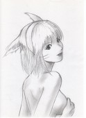 幻猫